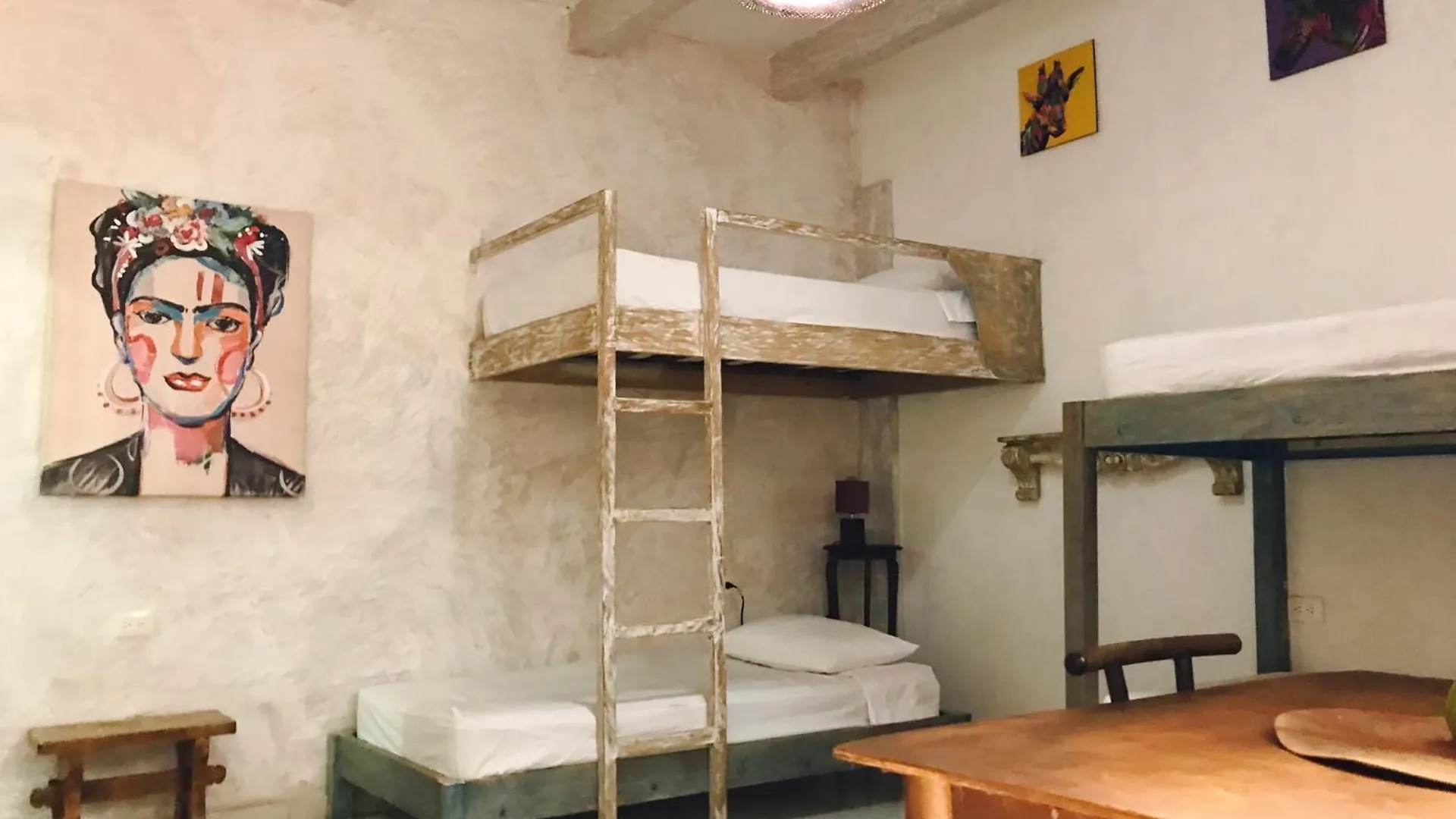 Pachamama Hostel Cartagena Colombia