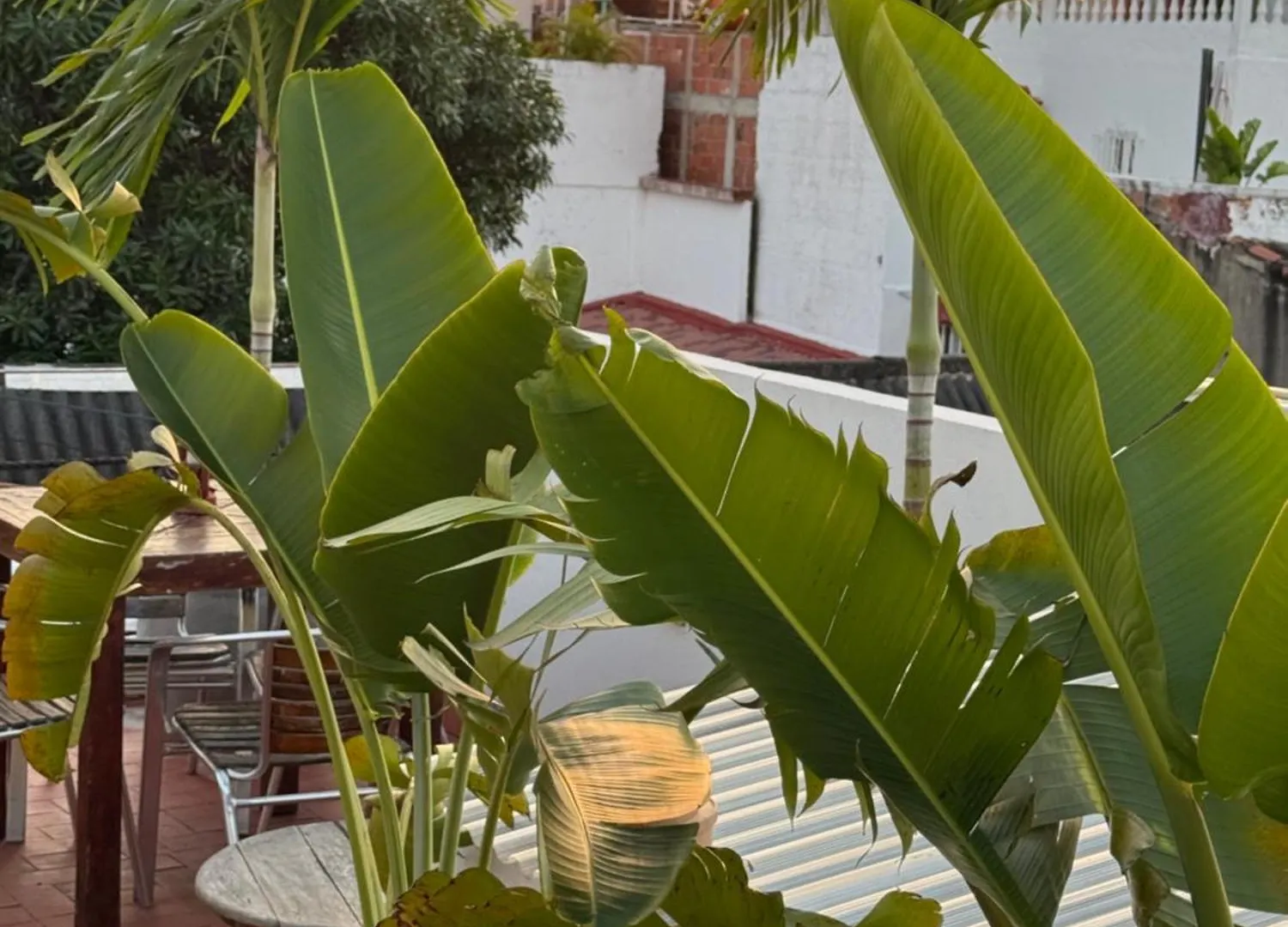 Pachamama Hostel Cartagena 0*,