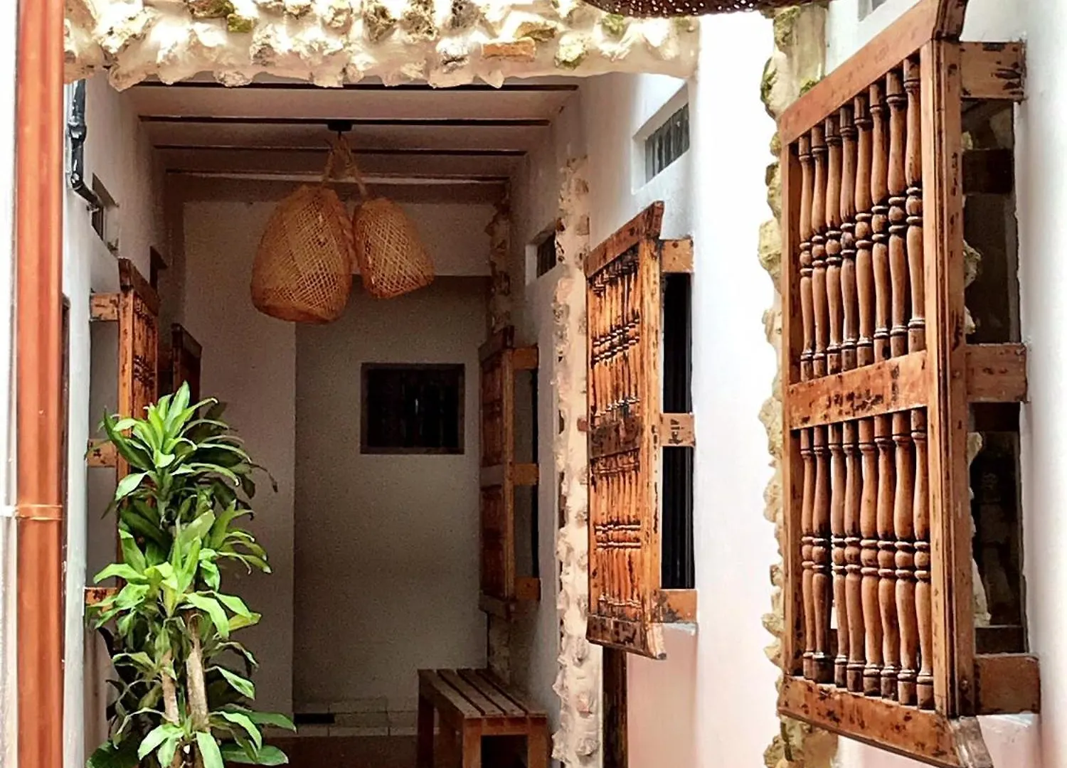 Pachamama Hostel Cartagena Colombia